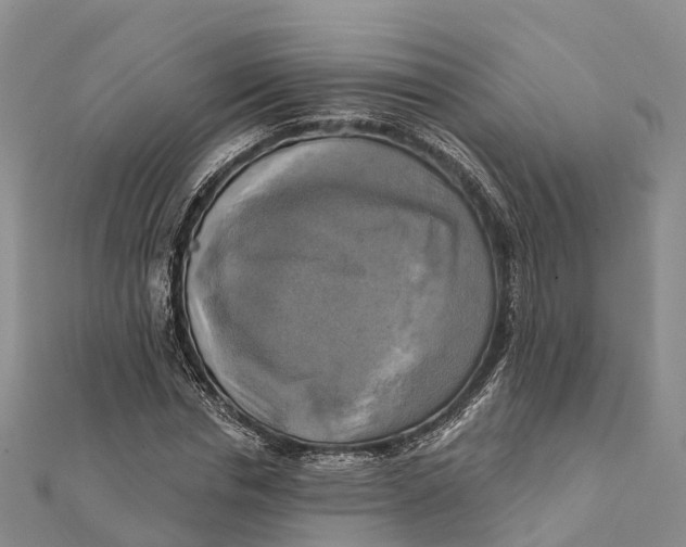 X0000112100826200909011123