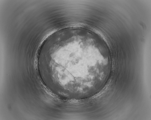 X0000112100827200909011123