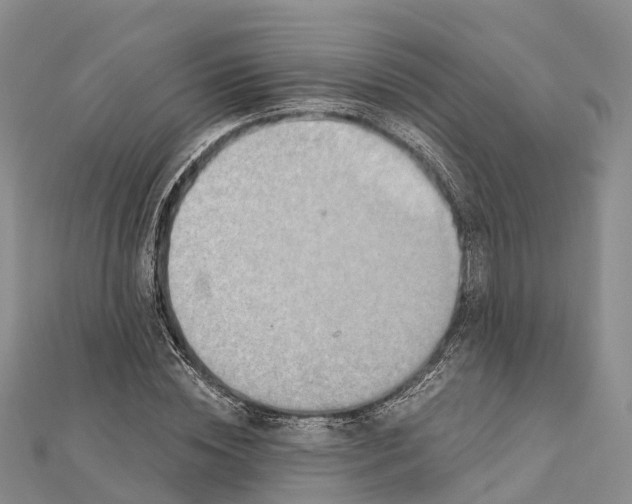X0000112100828200909011123