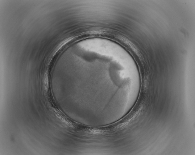 X0000112100829200909011123