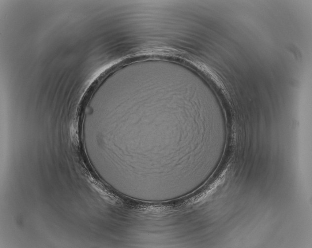 X0000112100830200909011123