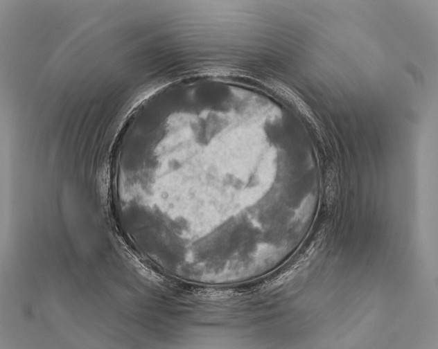 X0000112100831200909011123