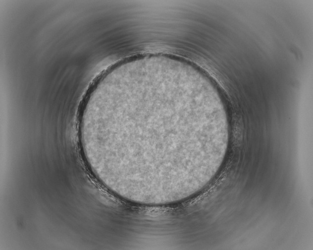 X0000112100832200909011123