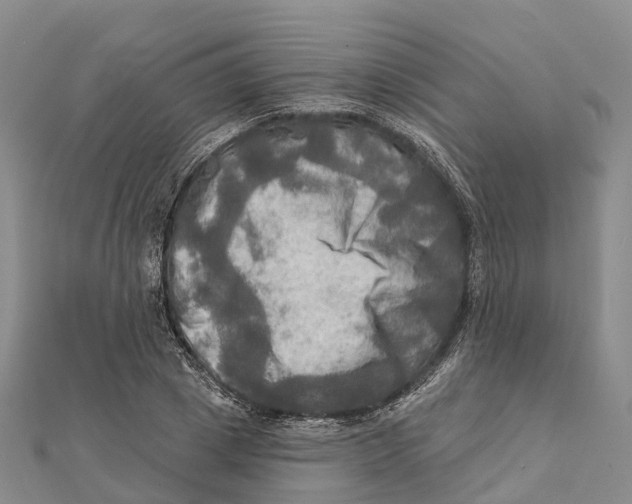 X0000112100833200909011123