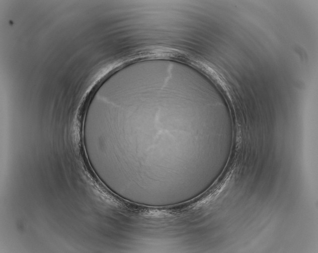 X0000112100835200909011123