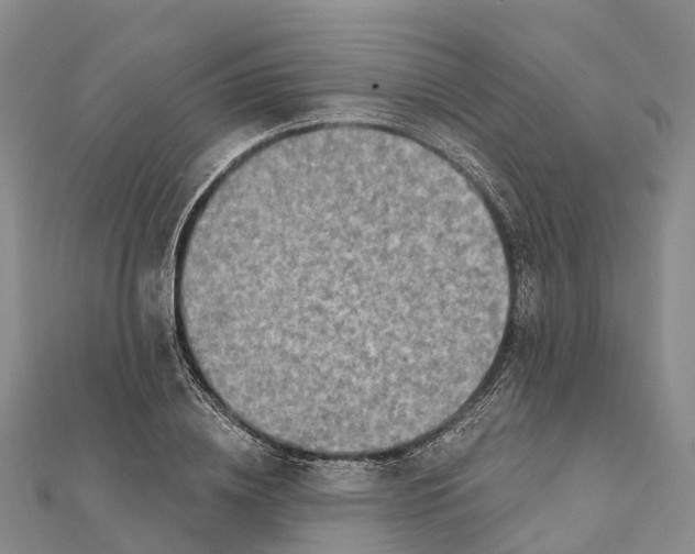 X0000112100836200909011123