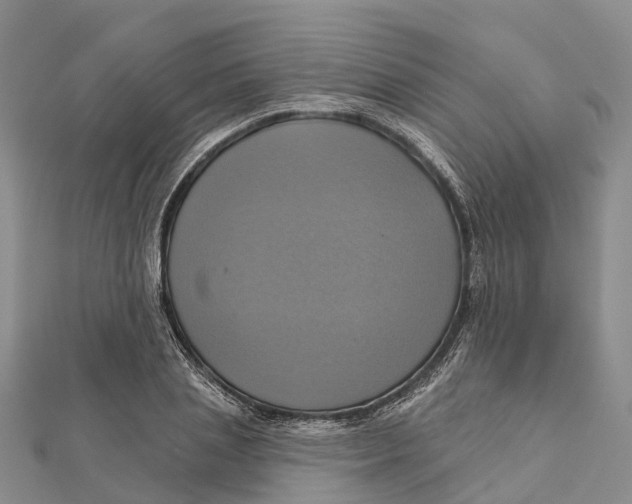 X0000112100837200909011123