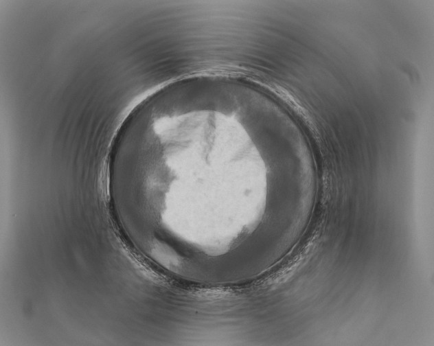 X0000112100838200909011123