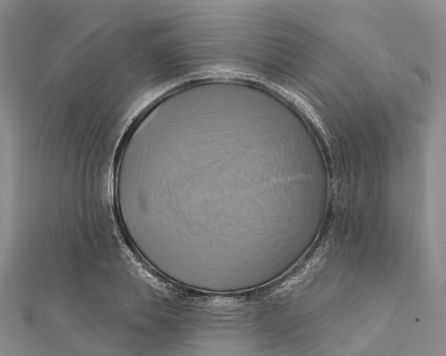 X0000112100839200909011123