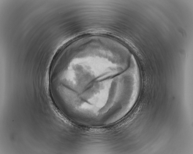 X0000112100840200909011123