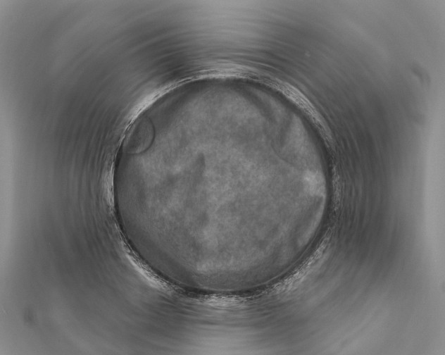 X0000112100842200909011123