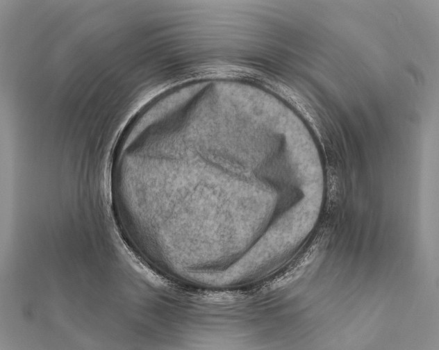 X0000112100843200909011123