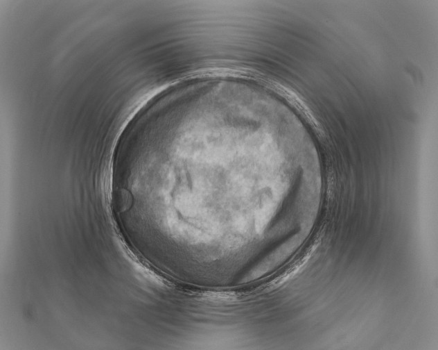 X0000112100844200909011123