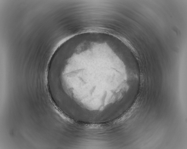 X0000112100846200909011123