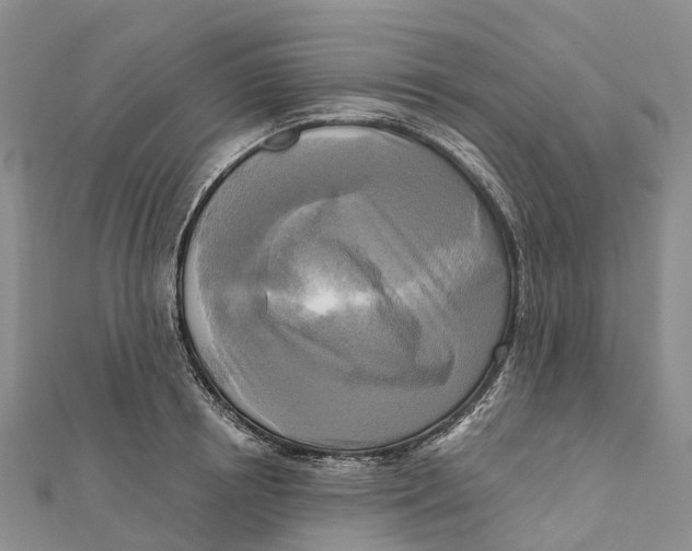 X0000112100850200909011123