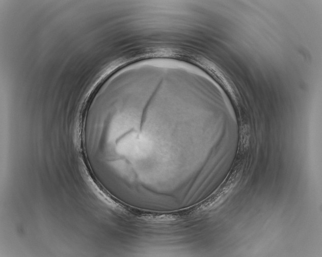 X0000112100851200909011123