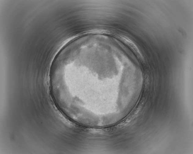 X0000112100852200909011123