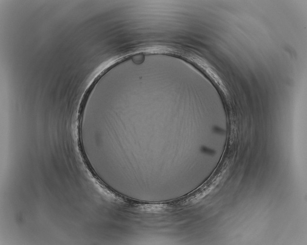 X0000112100853200909011123