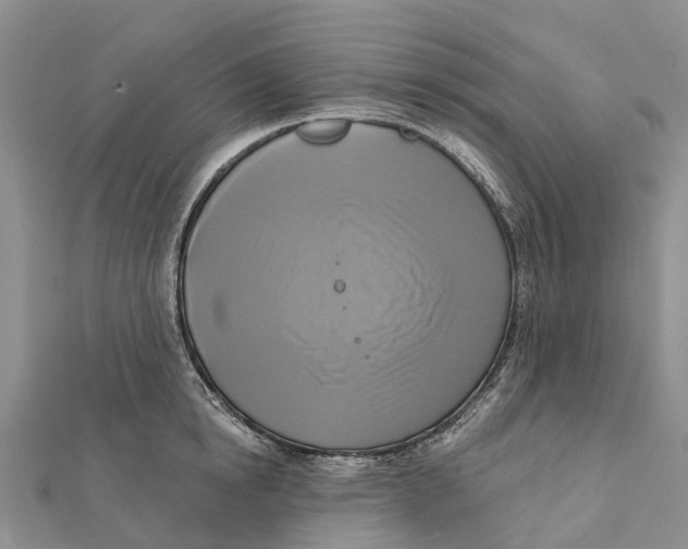 X0000112100854200909011123