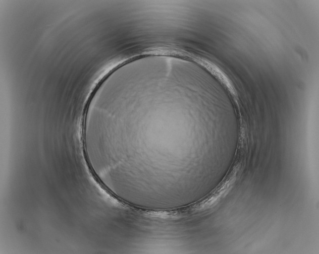 X0000112100855200909011123