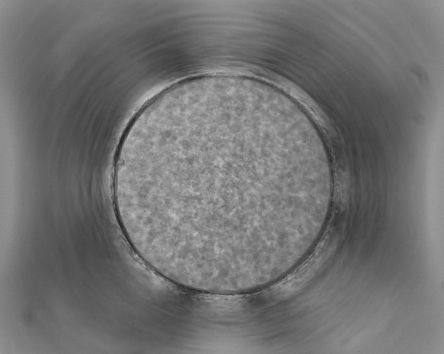 X0000112100856200909011123