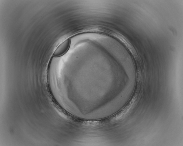 X0000112100858200909011123