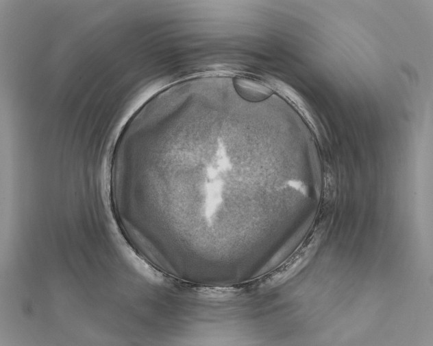 X0000112100859200909011123