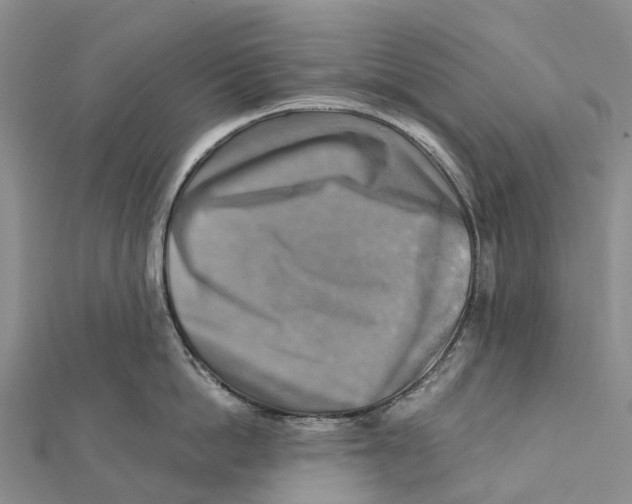 X0000112100862200909011123