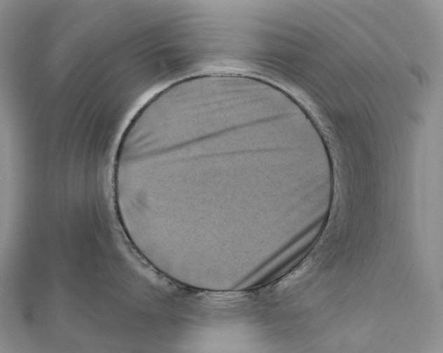 X0000112100864200909011123