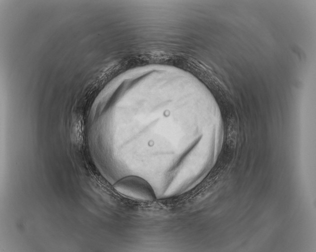 X0000112100866200909011122