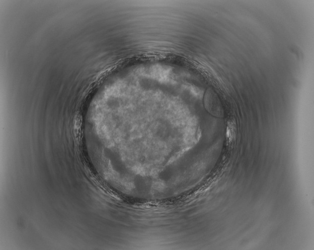 X0000112100867200909011122