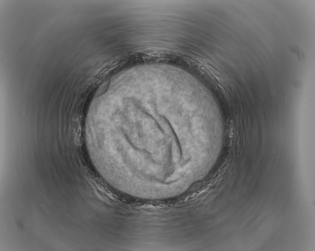 X0000112100868200909011122