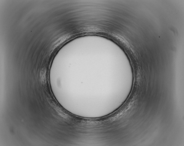 X0000112100873200909011122