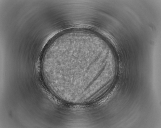 X0000112100875200909011122