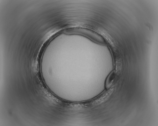 X0000112100876200909011122