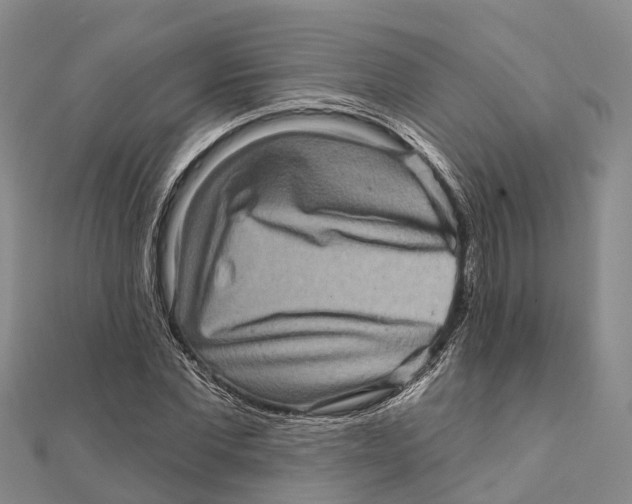 X0000112100877200909011122