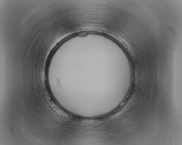 X0000112100880200909011122