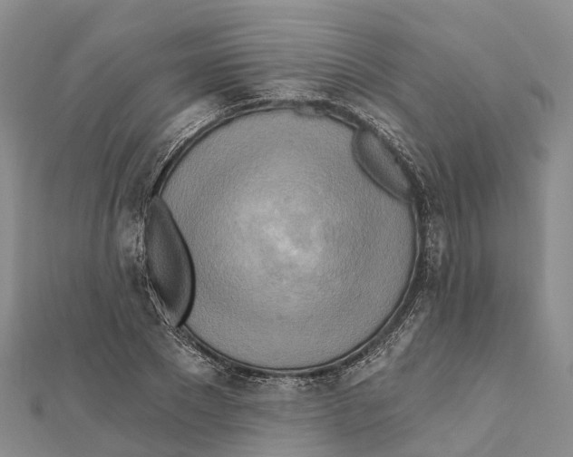 X0000112100881200909011122