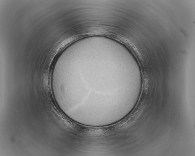 X0000112100882200909011122