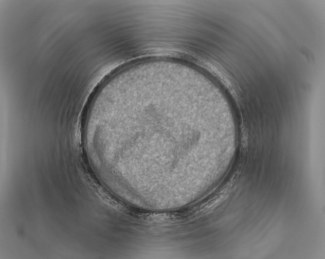 X0000112100883200909011122