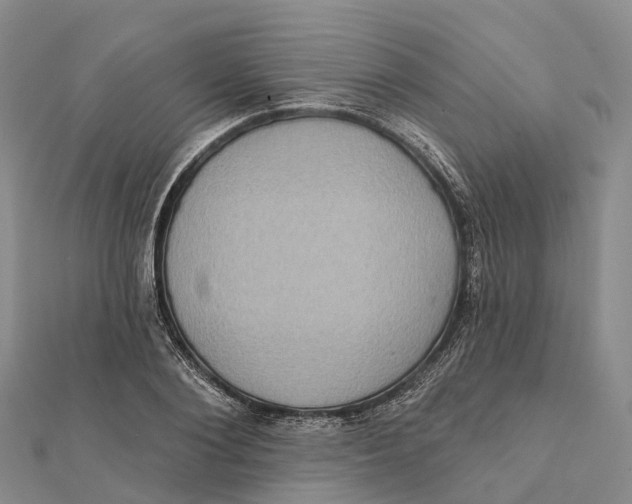 X0000112100884200909011122