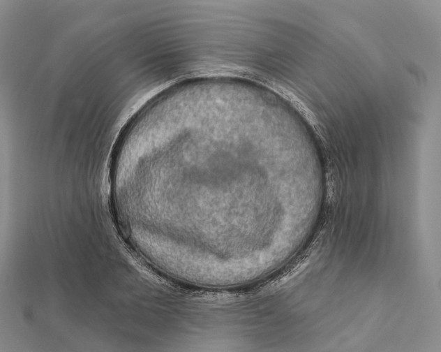 X0000112100885200909011122