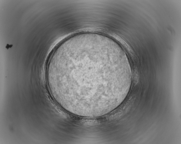 X0000112100886200909011122
