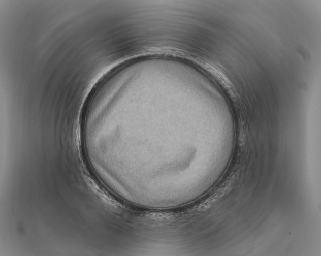 X0000112100888200909011122