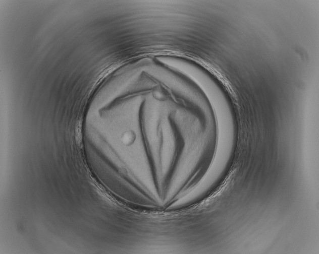 X0000112100889200909011122