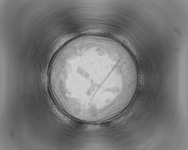 X0000112100890200909011122