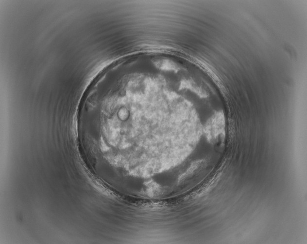 X0000112100891200909011122