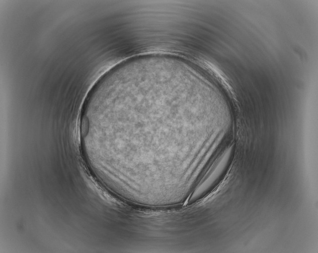 X0000112100892200909011122