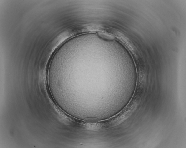 X0000112100893200909011122