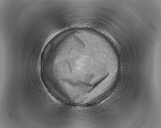 X0000112100894200909011122